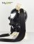 Domestica hood
